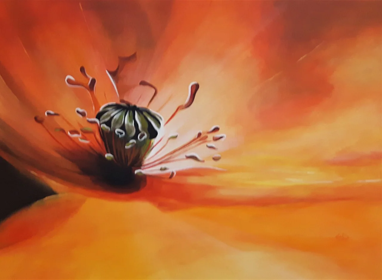 Le cœur d'un coquelicot, vu de très près, rouge et orangé.