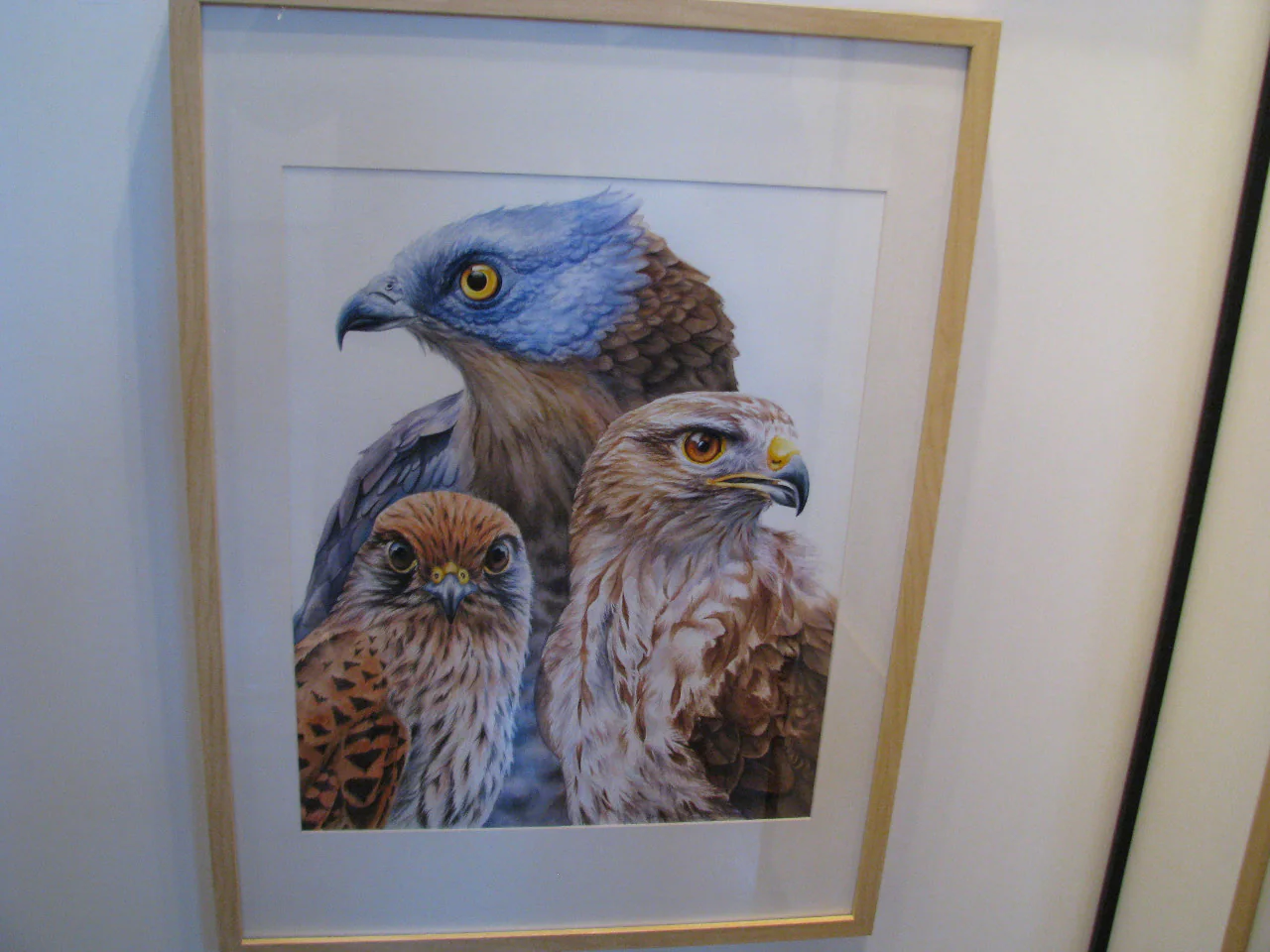 Exposition 2012 : photo 15 sur 24.