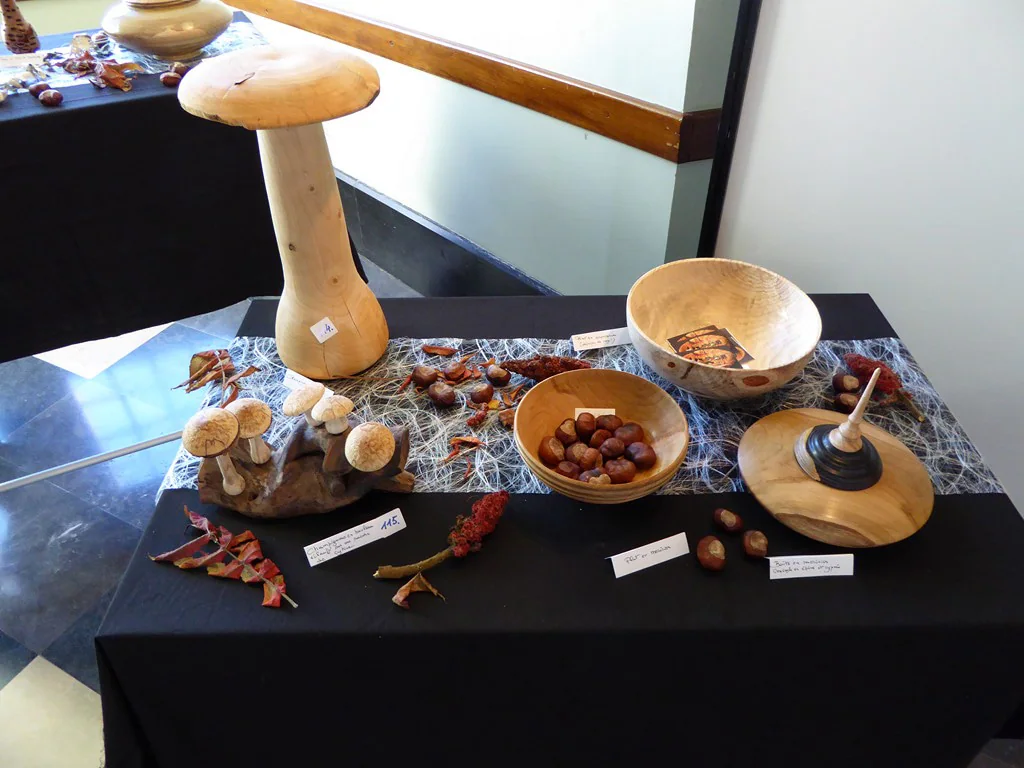 31e exposition - 2014 : photo 31 sur 31.