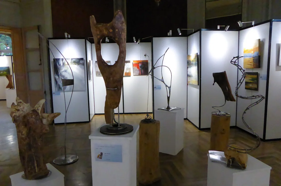 Exposition 2015 : photo 5 sur 26.