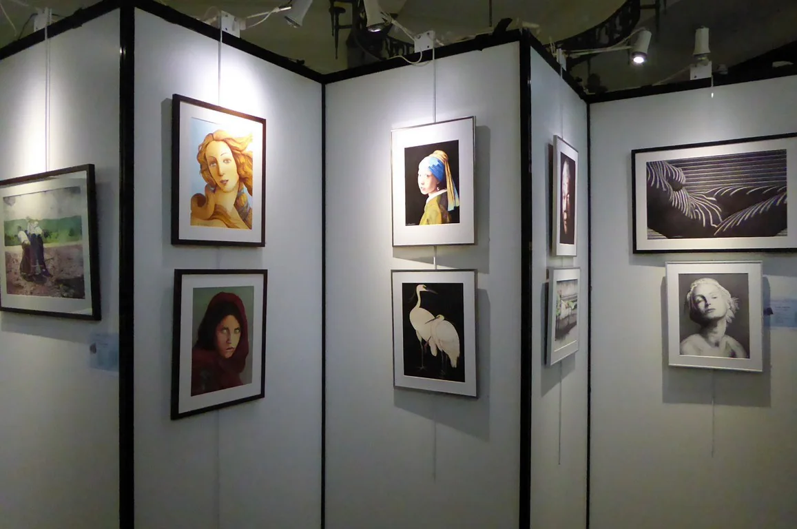 Exposition 2015 : photo 14 sur 26.