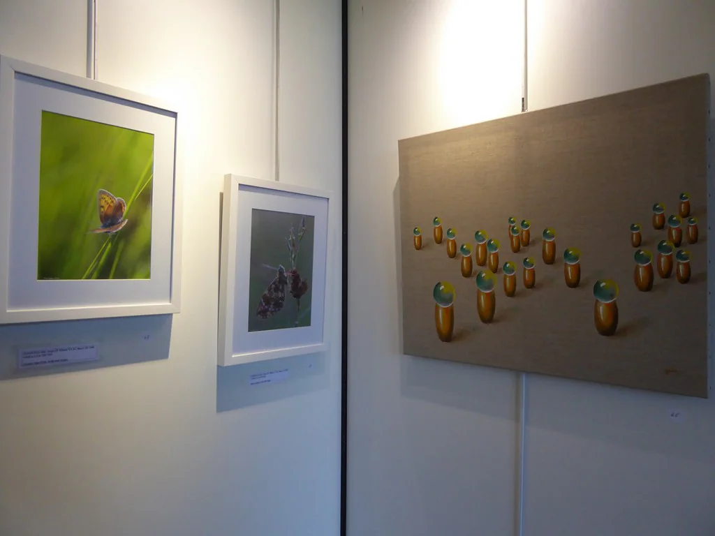 Exposition 2017 (34e) : photo 7 sur 34.