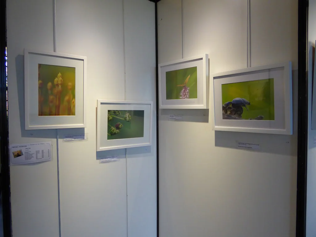 Exposition 2017 (34e) : photo 18 sur 34.