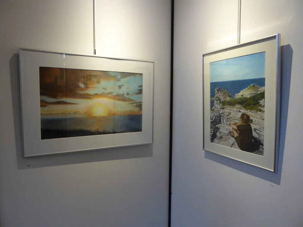 Exposition 2017 (34e) : photo 23 sur 34.