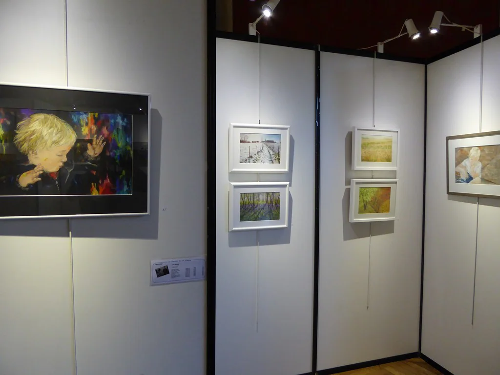 Exposition 2017 (34e) : photo 29 sur 34.