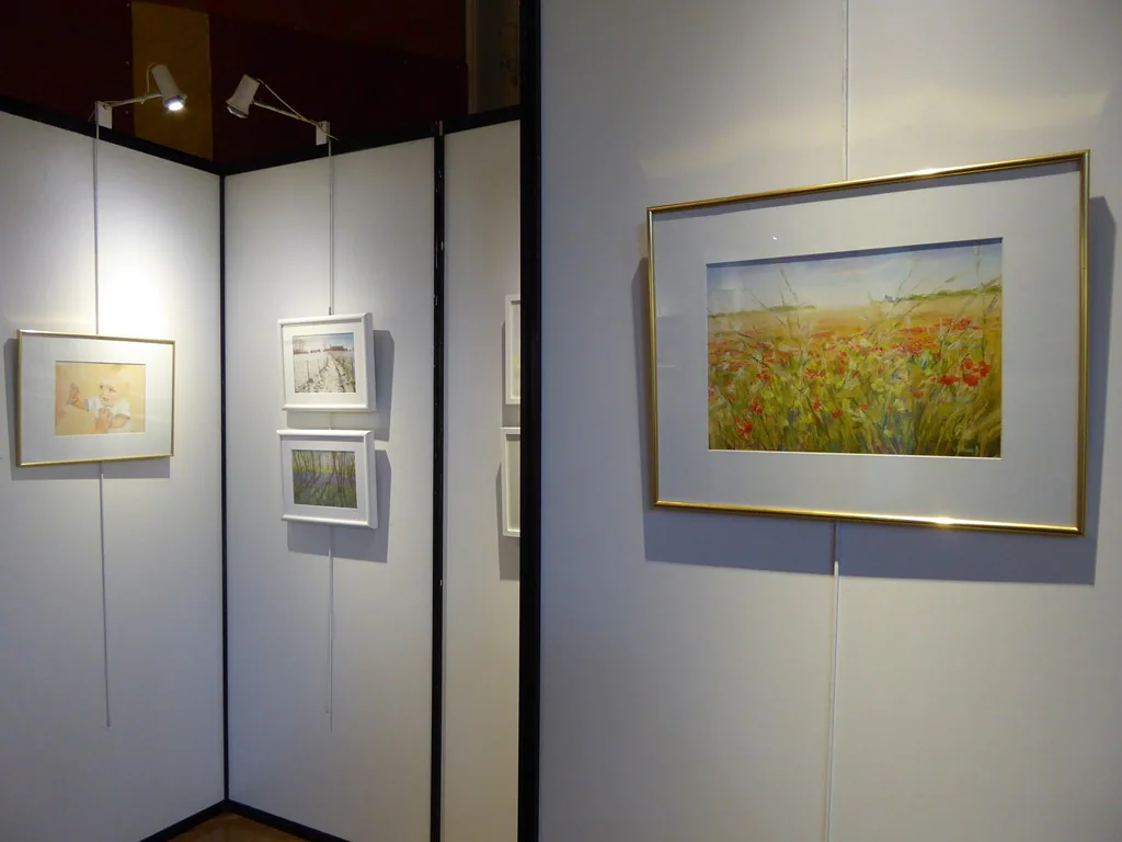 Exposition 2017 (34e) : photo 30 sur 34.