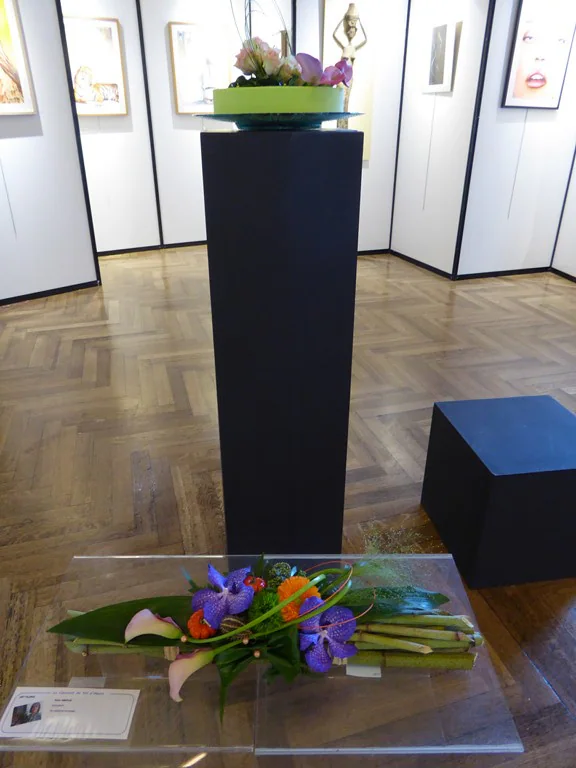 Exposition 2017 (34e) : photo 34 sur 34.