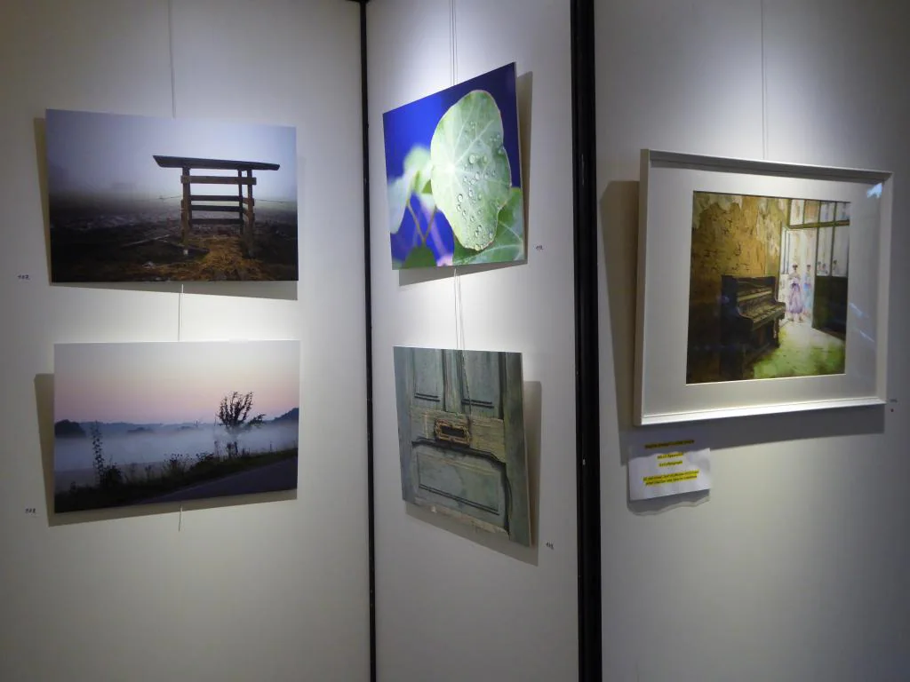 36e exposition : photo 28 sur 50.