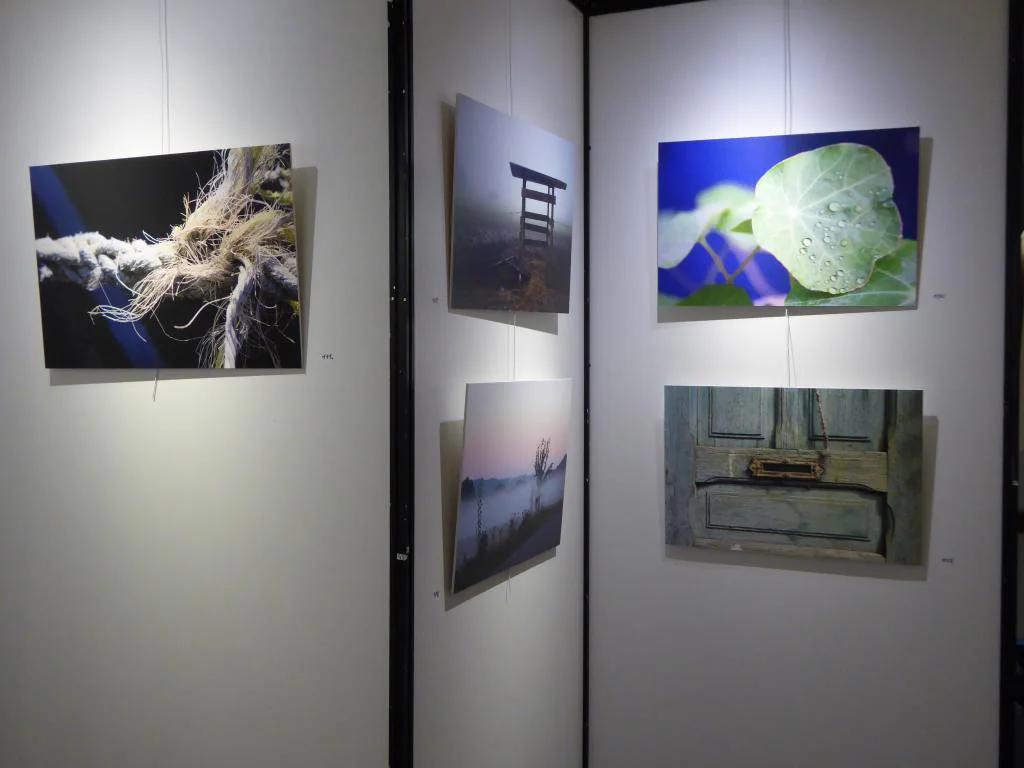 36e exposition : photo 30 sur 50.