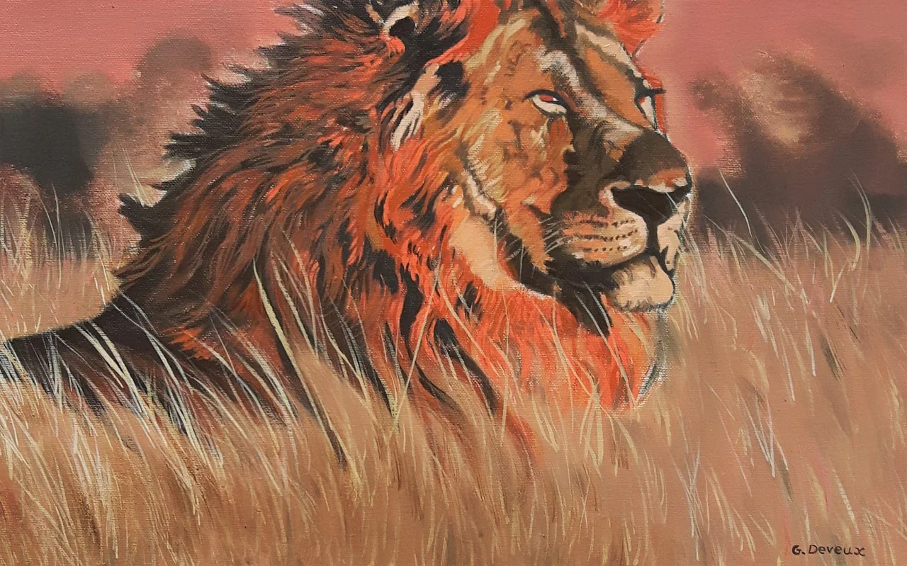 Un lion couché dans les hautes herbes.
