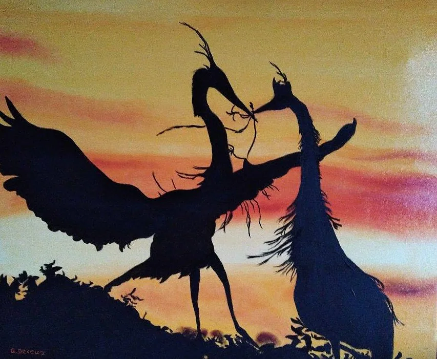 Deux grands oiseaux en ombre chinoise sur un ciel de couchant.