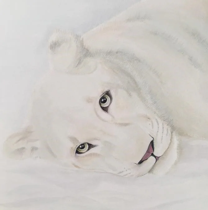 Une tête de lionne aux tons très clairs.
