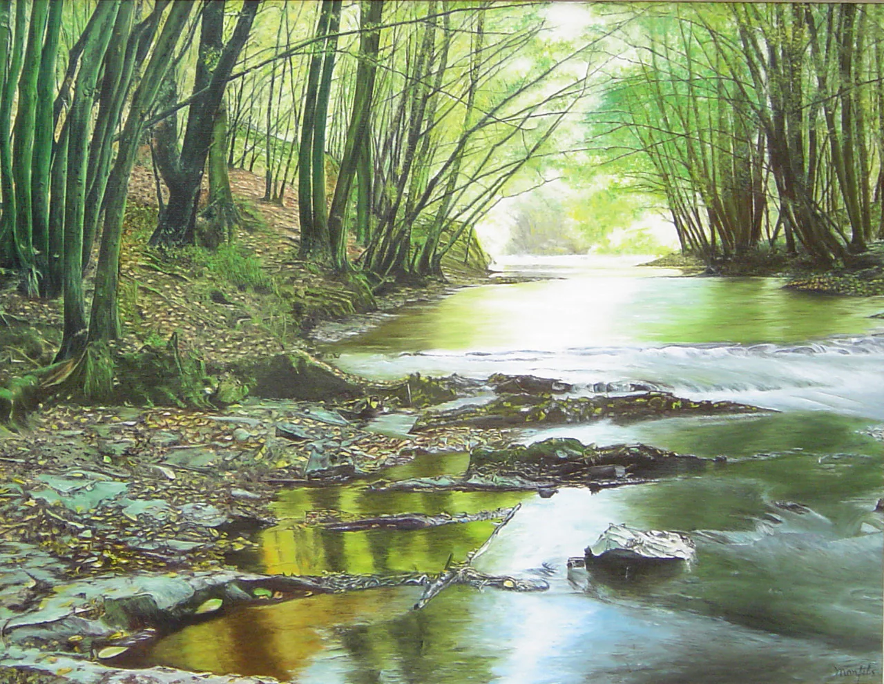 La rivière sous un tunnel de feuillage vert.