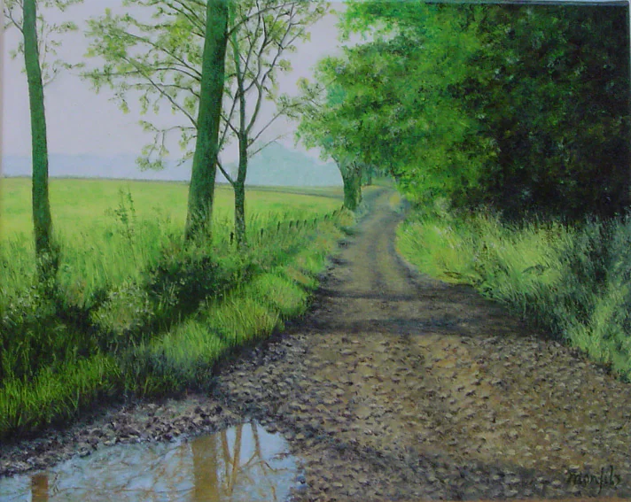 Un chemin de campagne et sa flaque, entre les arbres d'été.